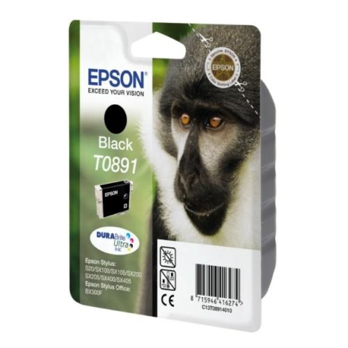 Epson tisková kazeta černá (C13T08914011 / T0891)