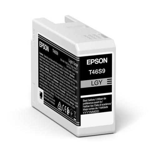 Epson tisková kazeta šedý foto (C13T46S900 / T46S9)