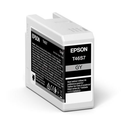 Epson tisková kazeta šedá (C13T46S700 / T46S7)